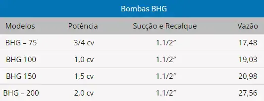 Moto bomba para piscina hidromassagem 2 cv bhg 200 Sodramar — fotografia 5