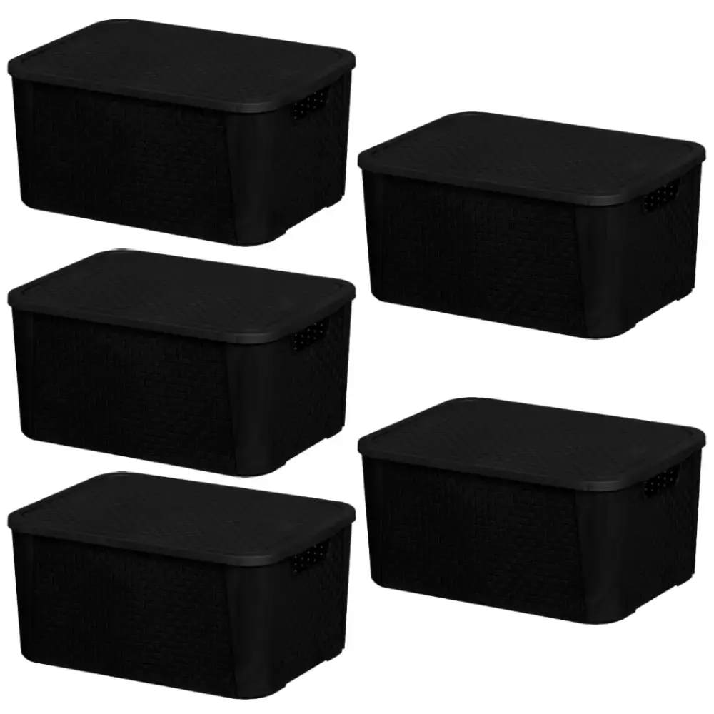 Caixa organizadora rattan 8,8 litros 2051 com 5 unidades Plasnew