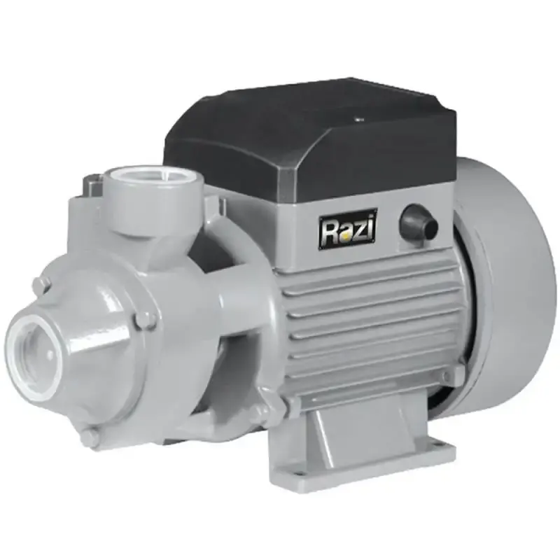 Bomba d`água periférica 0,5 CV RZ-BP375/M Razi 110 V