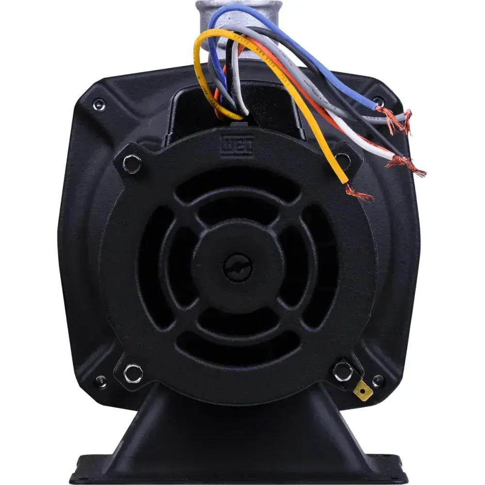 Bomba centrífuga cam W-6 0,75CV Dancor — fotografia 10