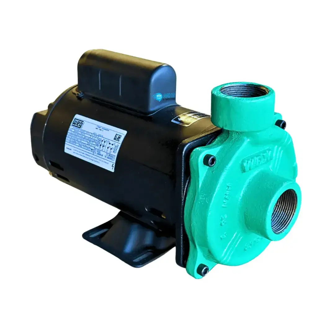 Bomba centrífuga monoestágio WDM EE 1.5 1,5CV monofásica 127V/220V/254V