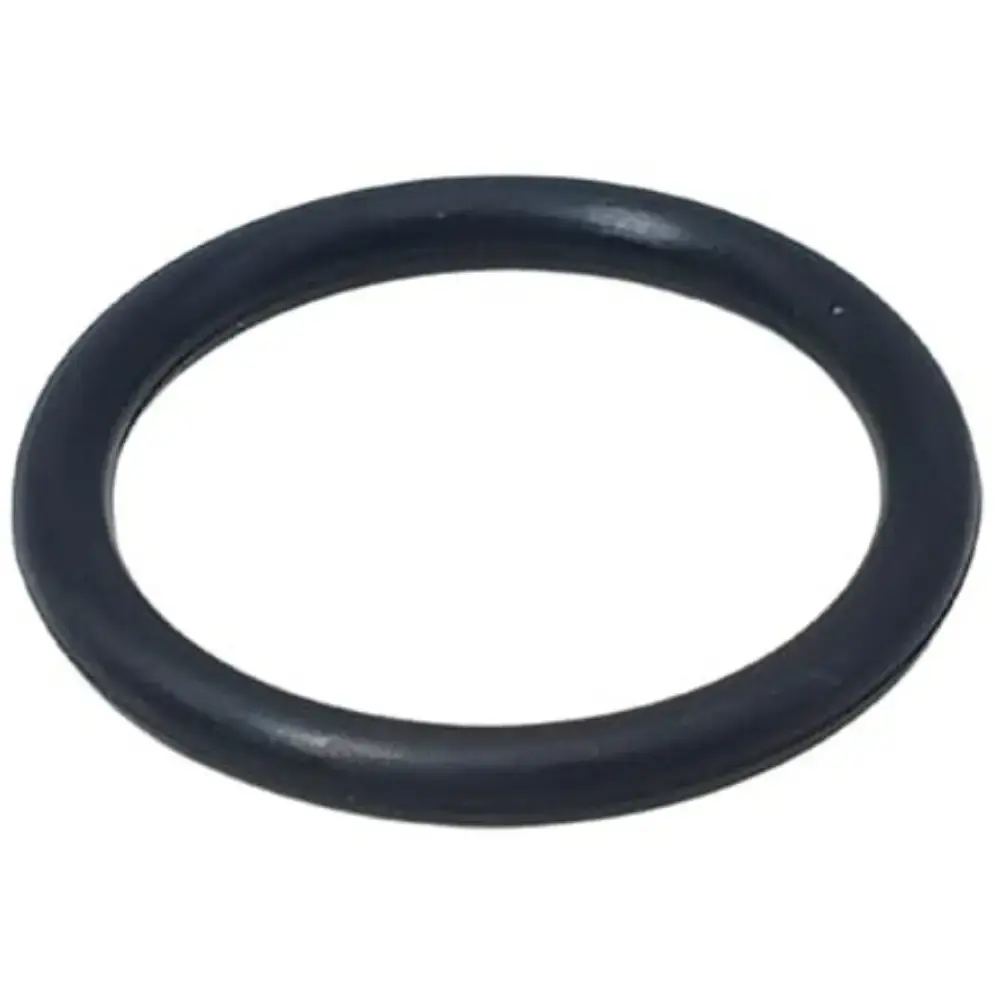 Anel oring CAPP0035 para lavadora PRO1600 PW C22 Soteco — fotografia de referência