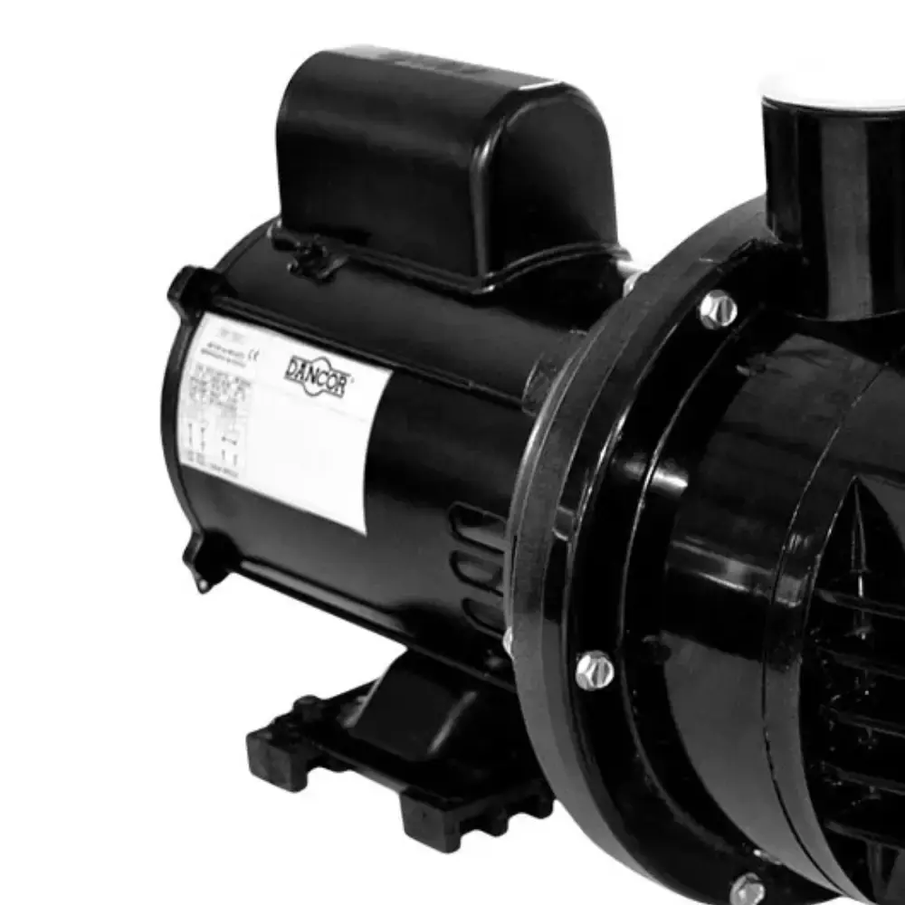 Bomba para piscina, cascata e hidromassagem 3/4 CV PF-17 Dancor — fotografia 3
