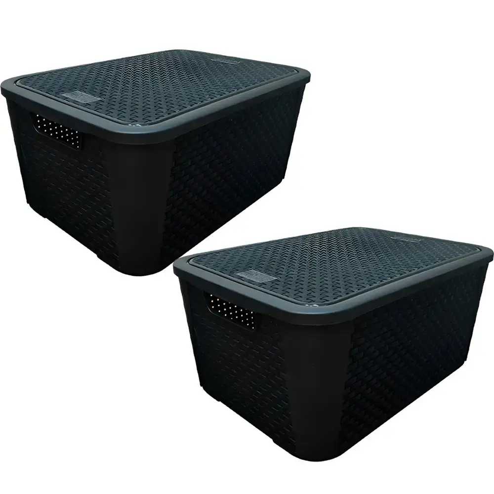 Caixa Organizadora Rattan 42 Litros 2071 2 unidades PLASNEW