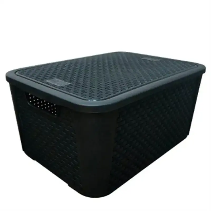 Caixa organizadora rattan 8.8 litros 2051 Plasnew — fotografia de referência