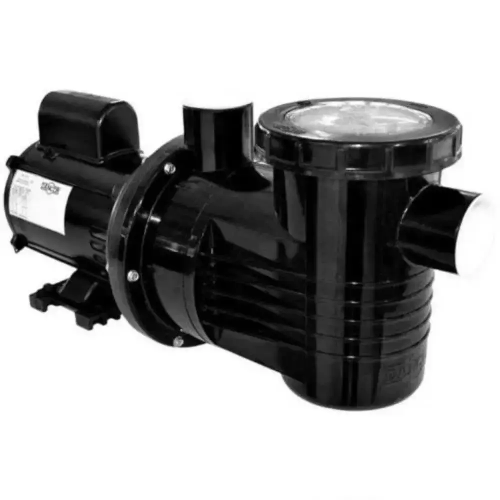 Bomba para piscina, cascata e hidromassagem 1CV monofásica PF-17 Dancor — fotografia de referência