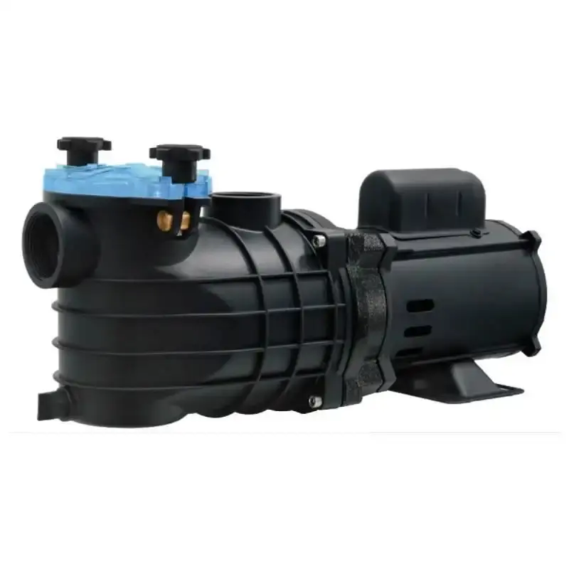 Bomba para piscina 1/3 CV mono 127/220V EKO Schneider Bivolt — fotografia de referência