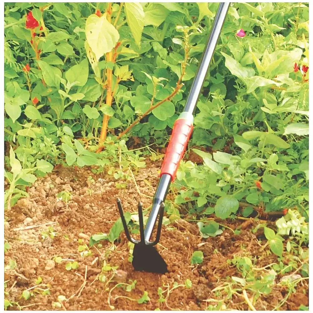 Cultivador duplo FJ-1002 Trapp — fotografia 5