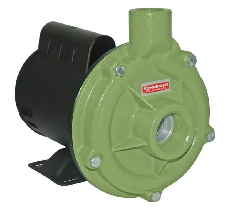 Bomba centrífuga 1.0 CV monofásica 110/220V BC-92S 1B Schneider