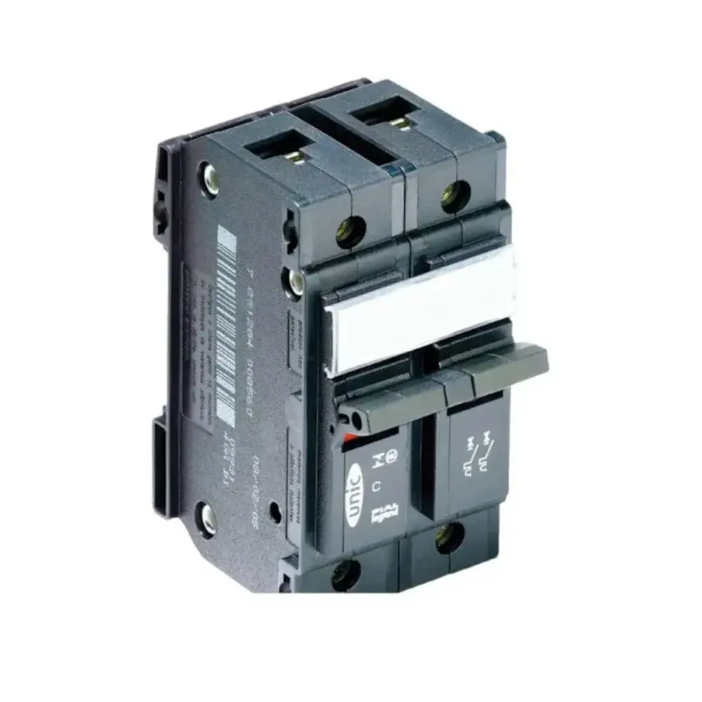 Disjuntor bipolar 60A 220V/380V Pial — fotografia de referência