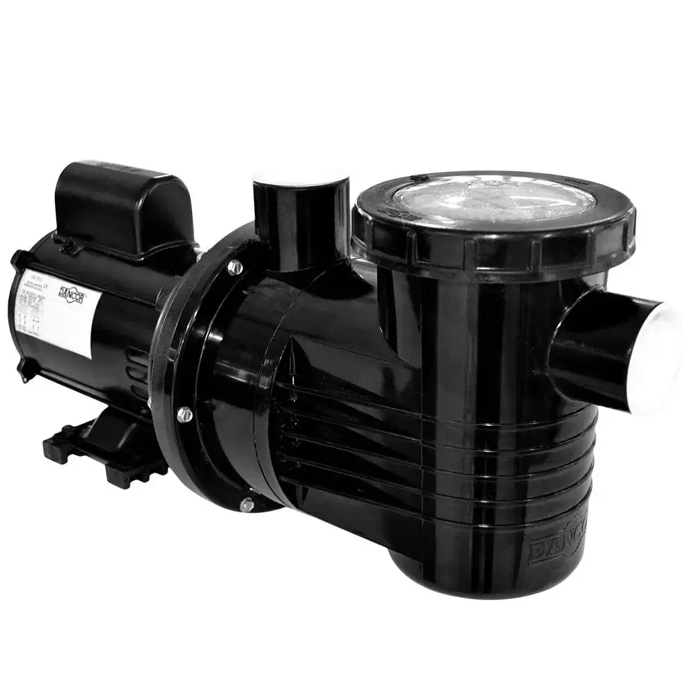 Bomba para piscina, cascata e hidromassagem 3/4 CV PF-17 Dancor — fotografia de referência