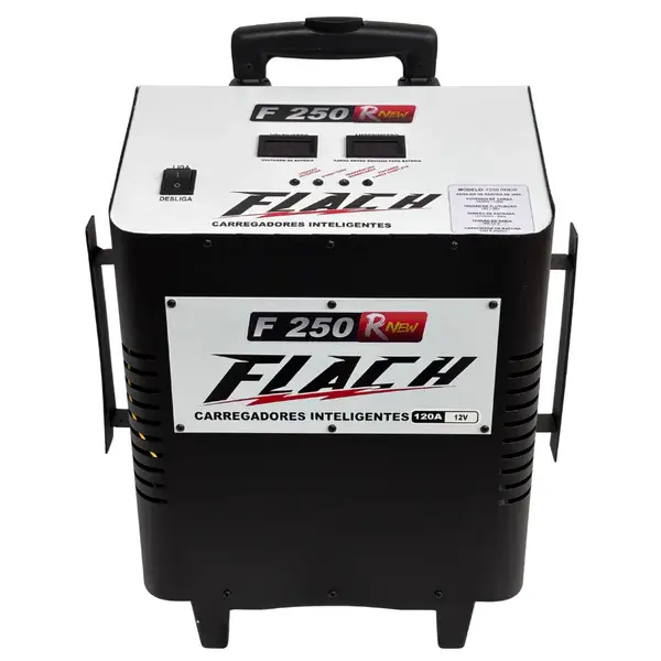 Carregador de baterias F250 rnew - 120 ah - 12V Flach — fotografia de referência