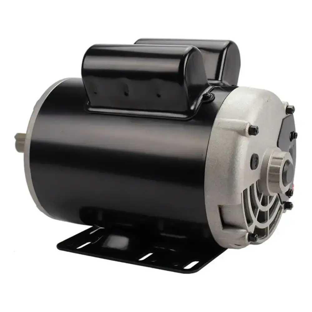 Motor elétrico reversível 4 polos 2CV IP56H monofásico bivolt Lynus — fotografia 2