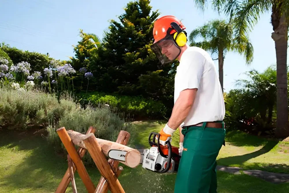 Motosserra combustão a gasolina 30 CC sabre 30 CM MS 170 Stihl — fotografia 4