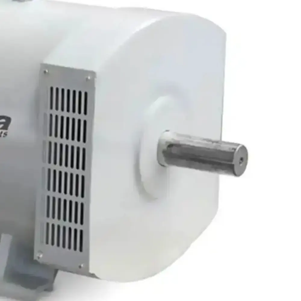 Alternador 38 KVA trifásico 220/380V TA38.0CT2-380 4 polos 271-009 Toyama — fotografia 3