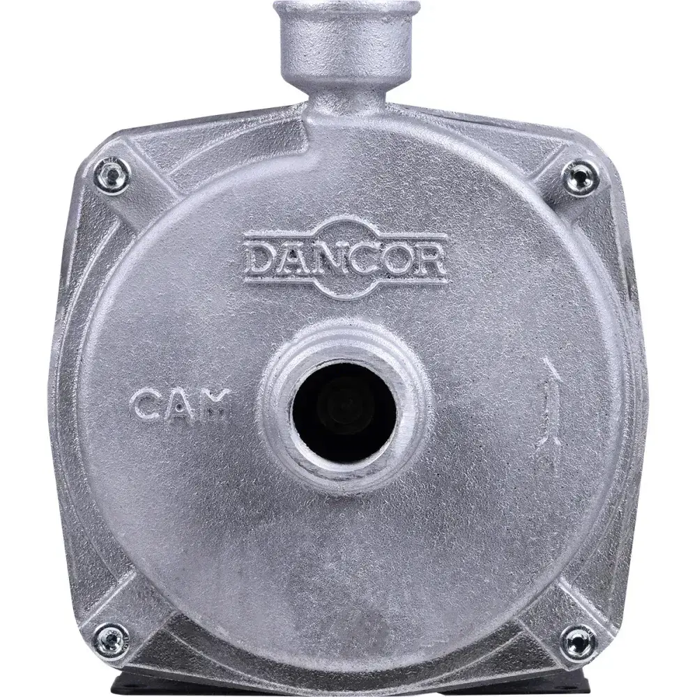 Bomba centrífuga cam W-6 0,75CV Dancor — fotografia 9