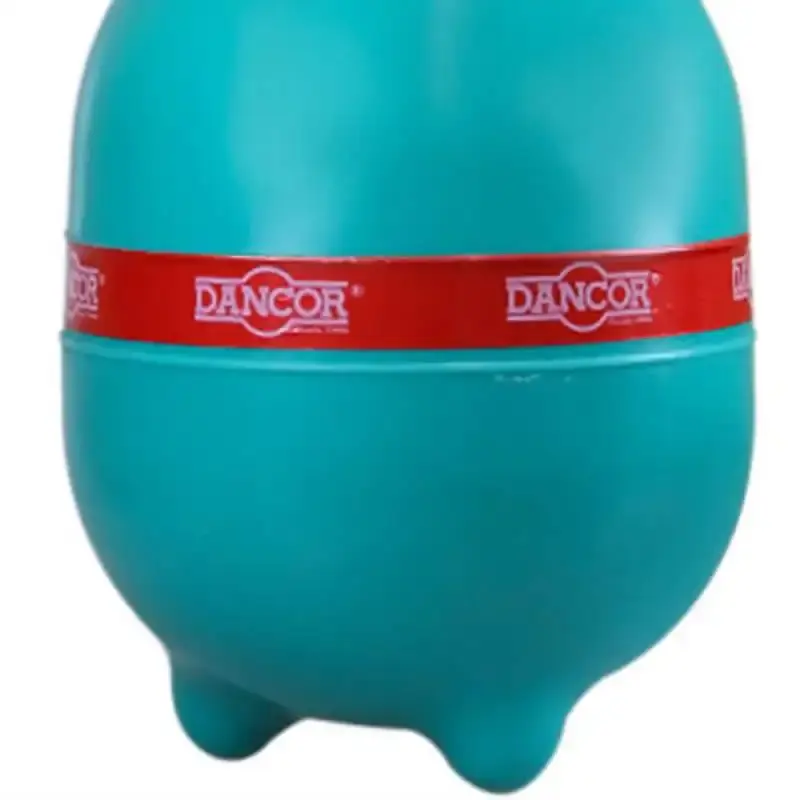 Filtro para Piscina DFR-11 p/ Bomba 1/4 CV - Filtra Até 17.000 Litros de Água DANCOR — fotografia 3