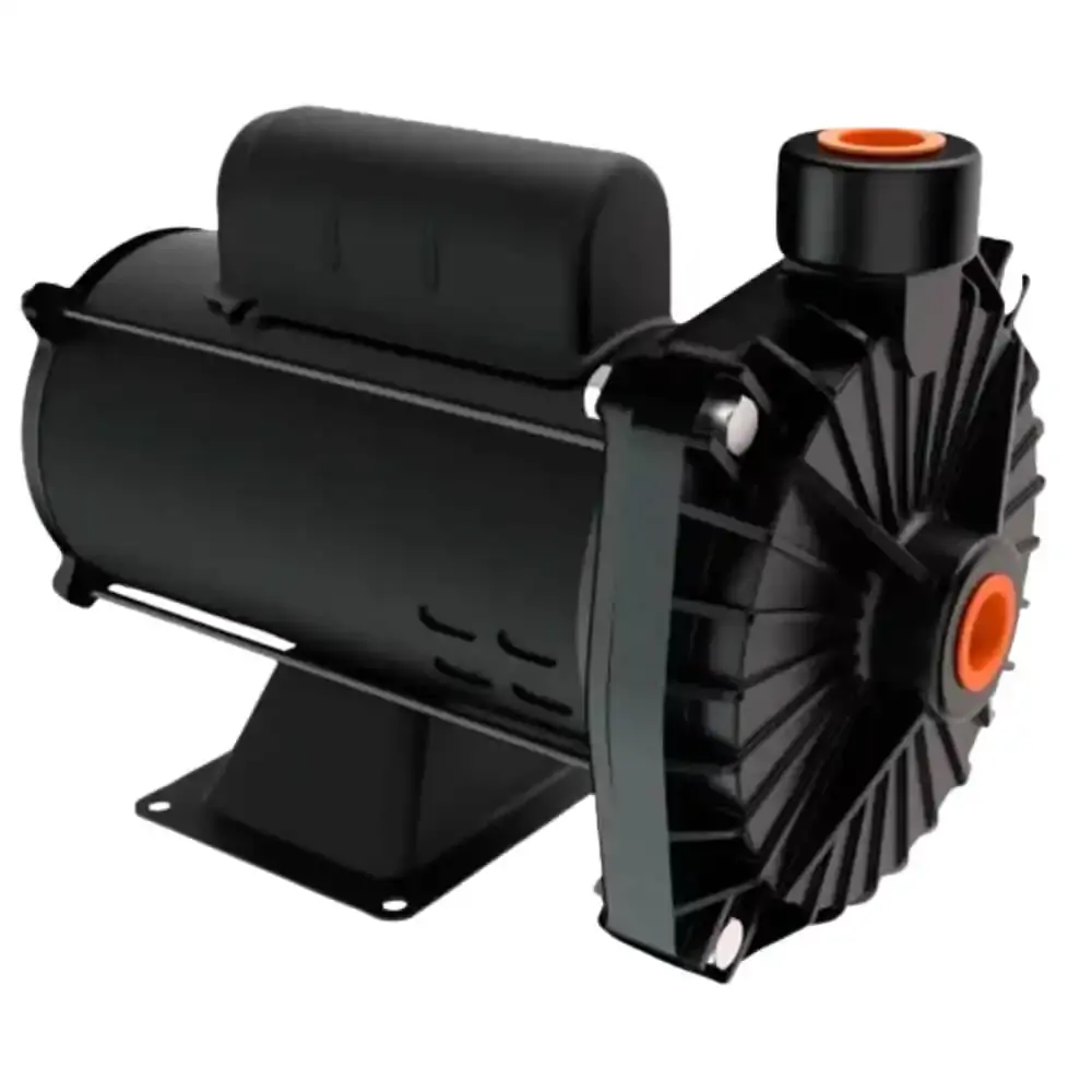 Bomba centrífuga 1CV monofásica 110/220V CP6R Dancor
