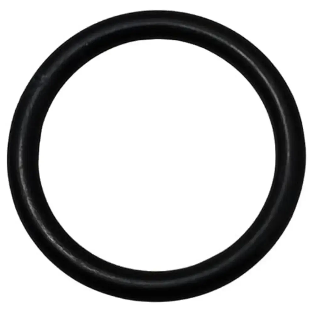 Anel oring CAPP0035 para lavadora PRO1600 PW C22 Soteco — fotografia 3