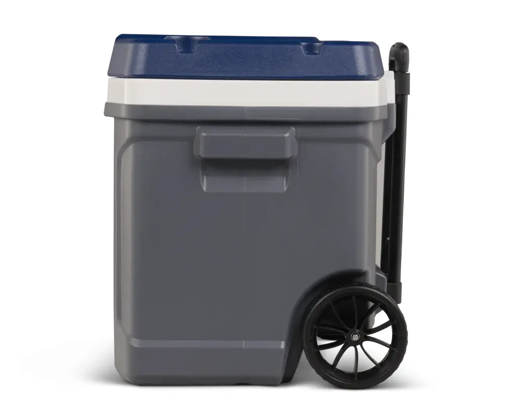Caixa térmica maxcold 58L com rodas Igloo — fotografia de referência