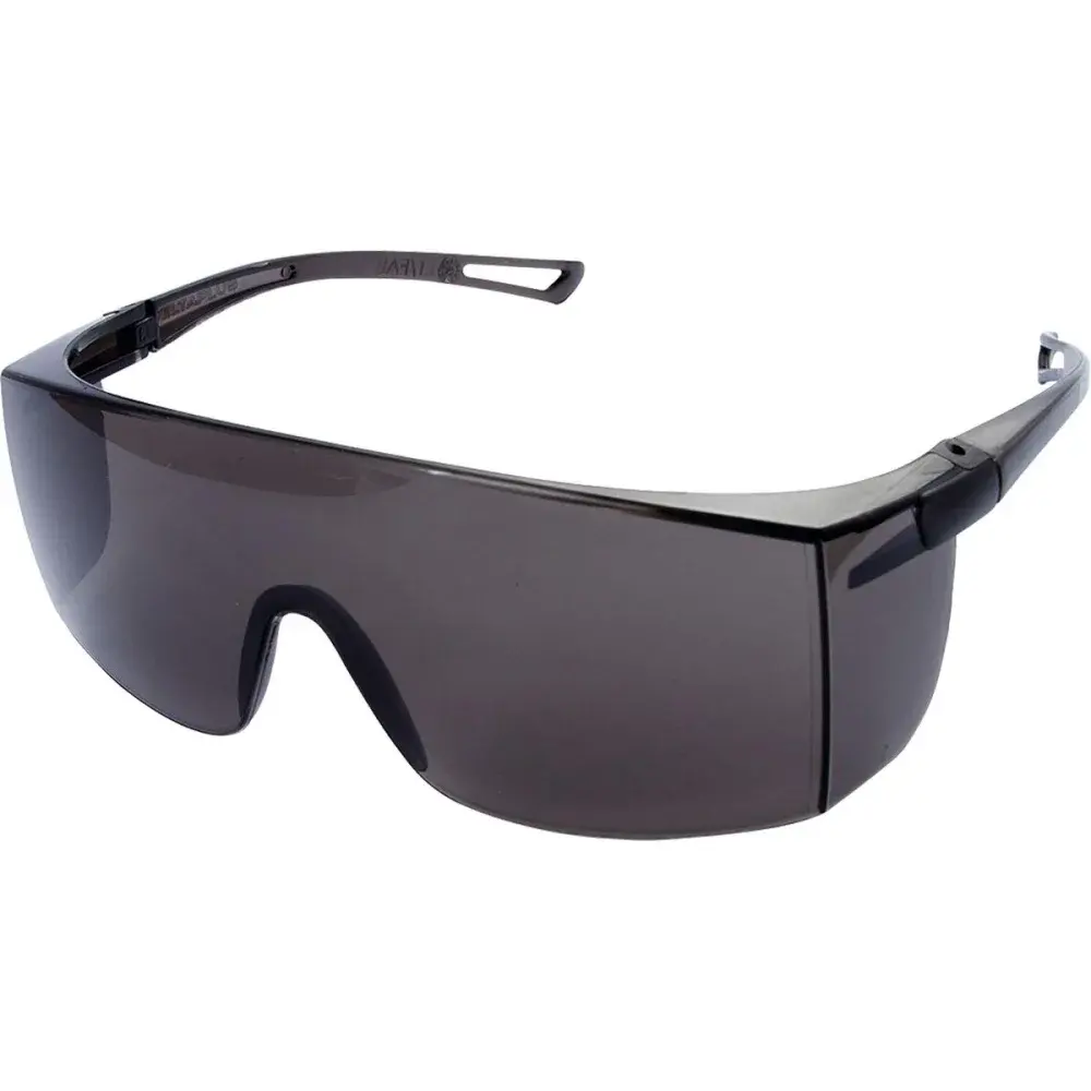 Oculos policarbonato sky cinza Deltaplus — fotografia de referência