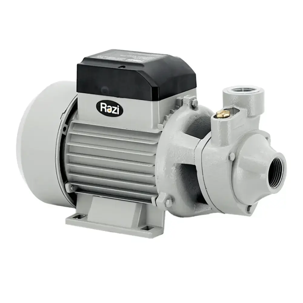 Bomba d Água Periférica 1 CV 52L/Min RAZI 110 V