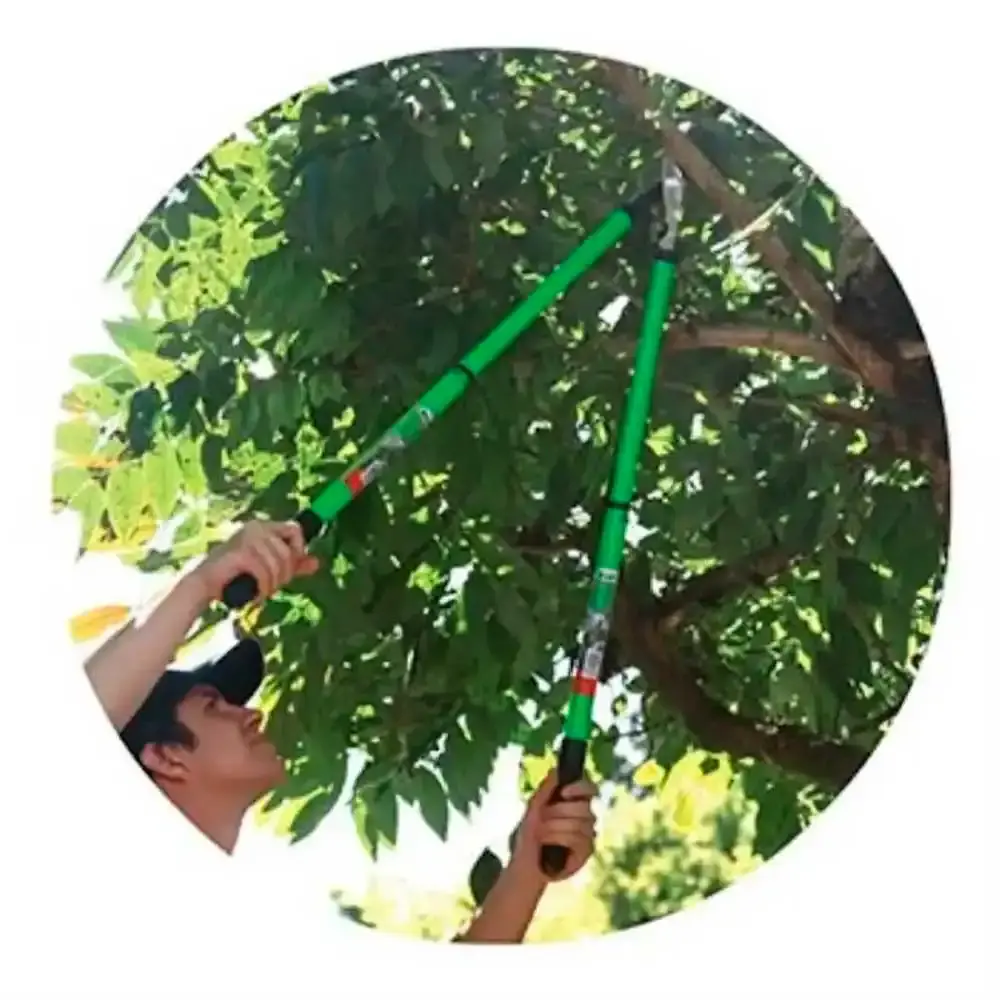 Tesoura para poda by-pass com braço telescópico 63.5 CM TS-40859 Trapp — fotografia 5