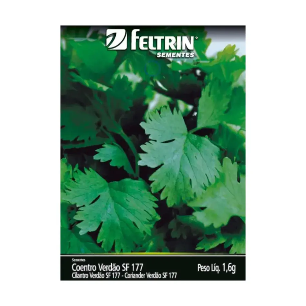 Semente coentro verdão SF177 1,6G feltrin sementes