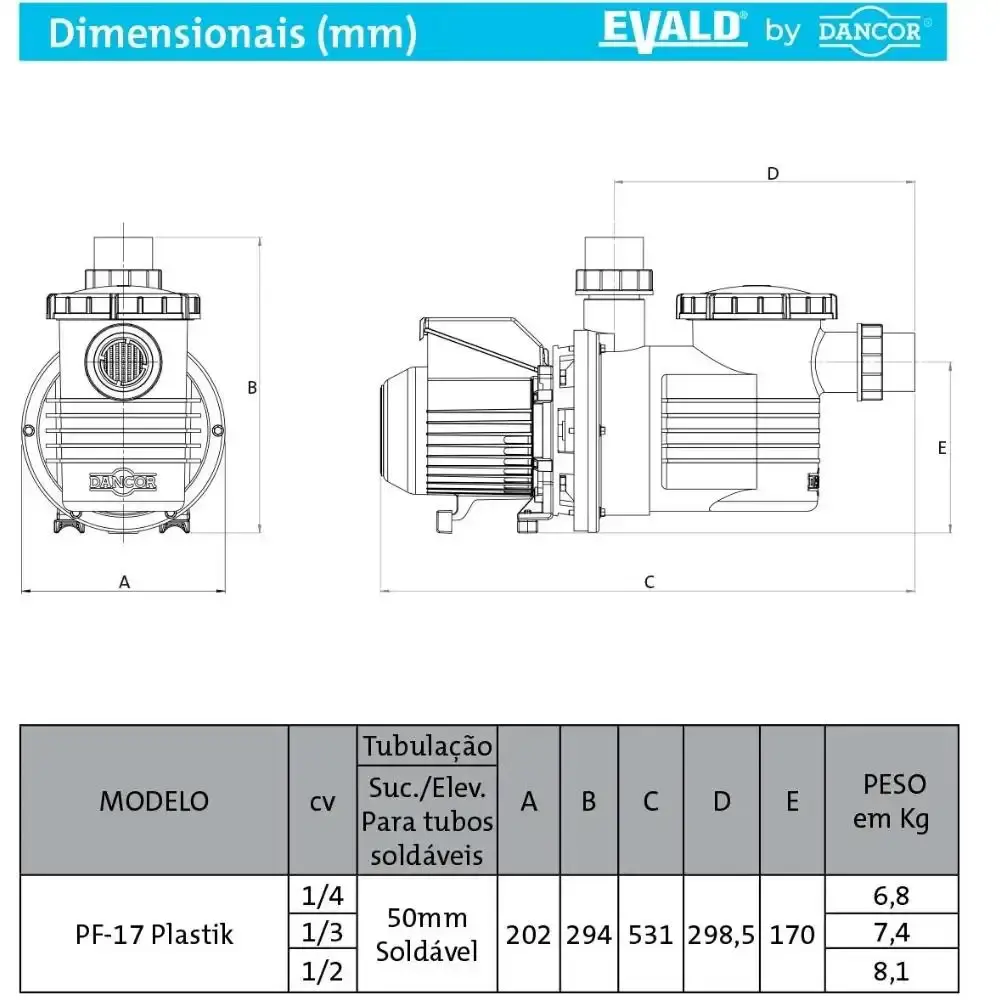 Filtro para Piscina FPEV-19 com Bomba 3/4 CV Monofásico BPEV-17 EVALD by DANCOR — fotografia 5