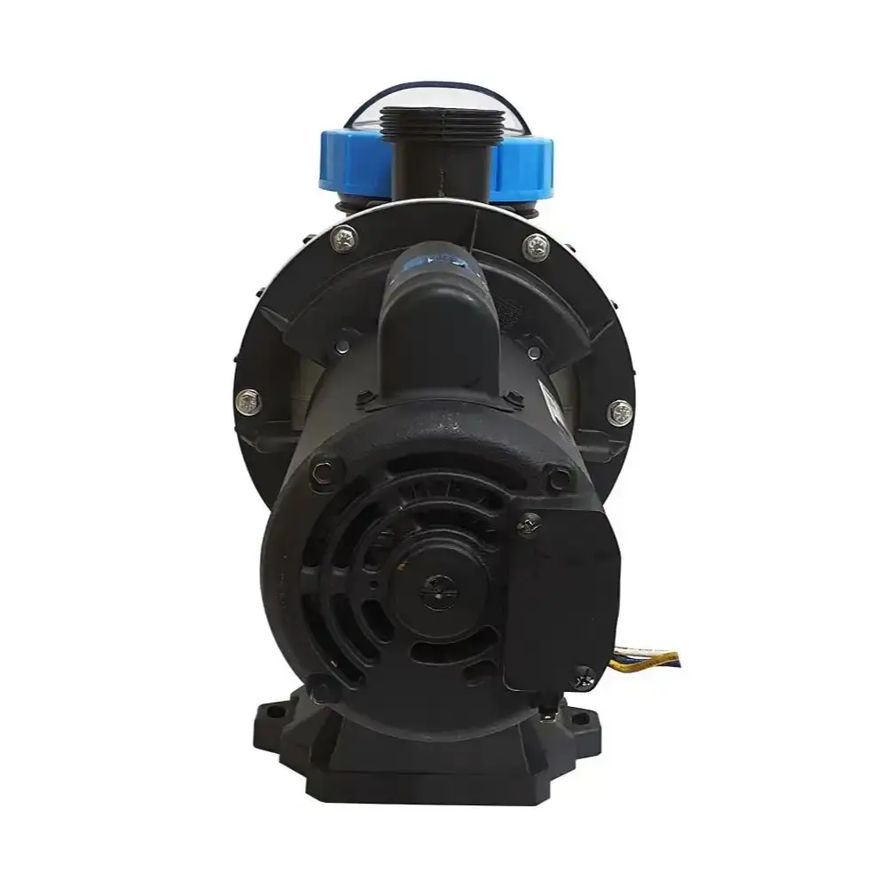 Bomba para piscina 1/3CV monofásica sodramar Filter — fotografia 3
