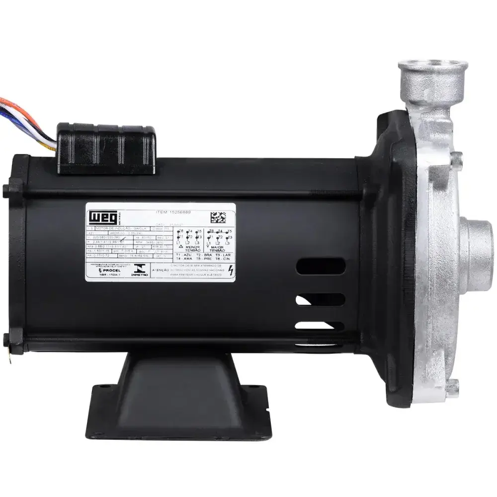 Bomba centrífuga cam W-6 0,75CV Dancor — fotografia 7