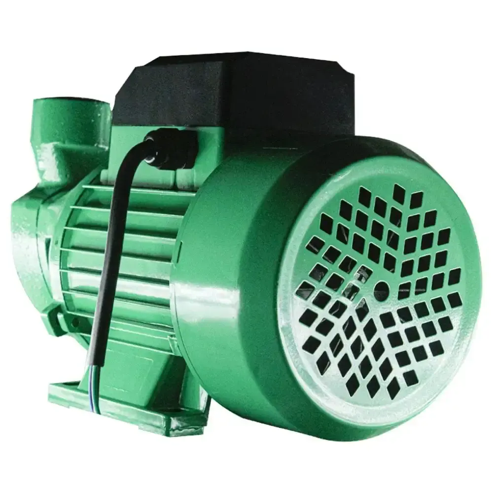Bomba de água 1,0 CV periférica BE80 bivolt 87241173-00 WDM — fotografia 4