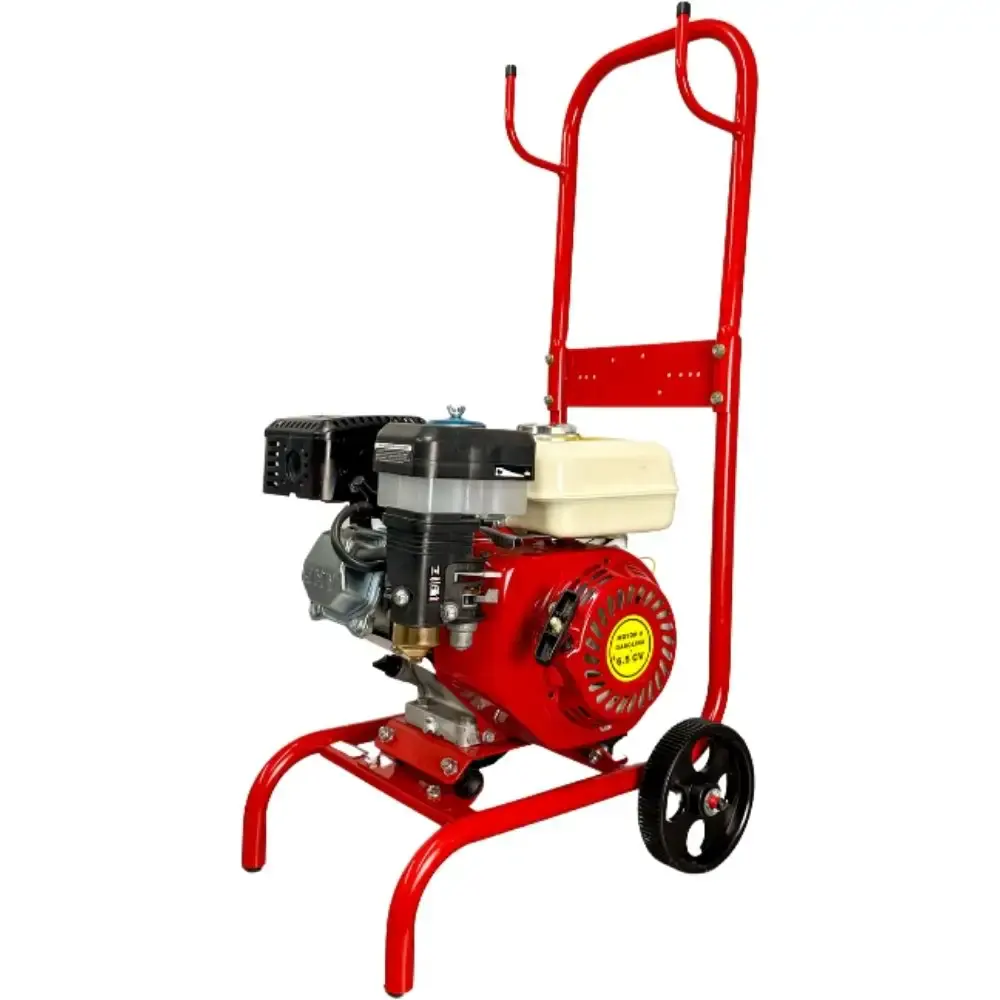 Lavadora de alta pressão LR-14 1,0CV 127V ZM — fotografia 3